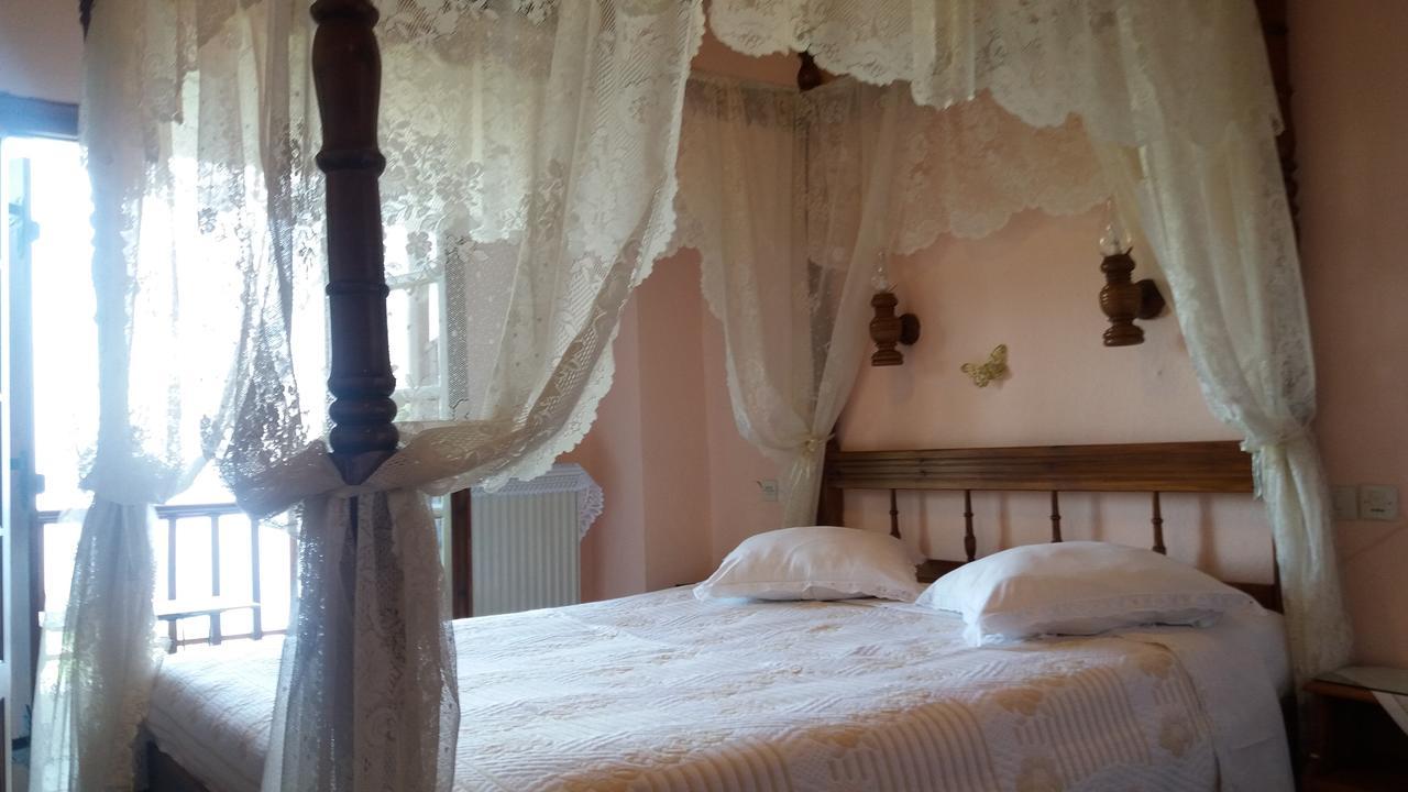 Hotel Diogenis