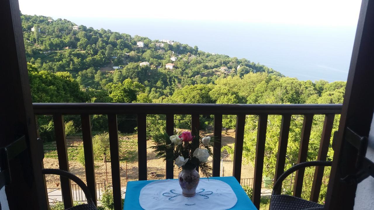 Hotel Diogenis