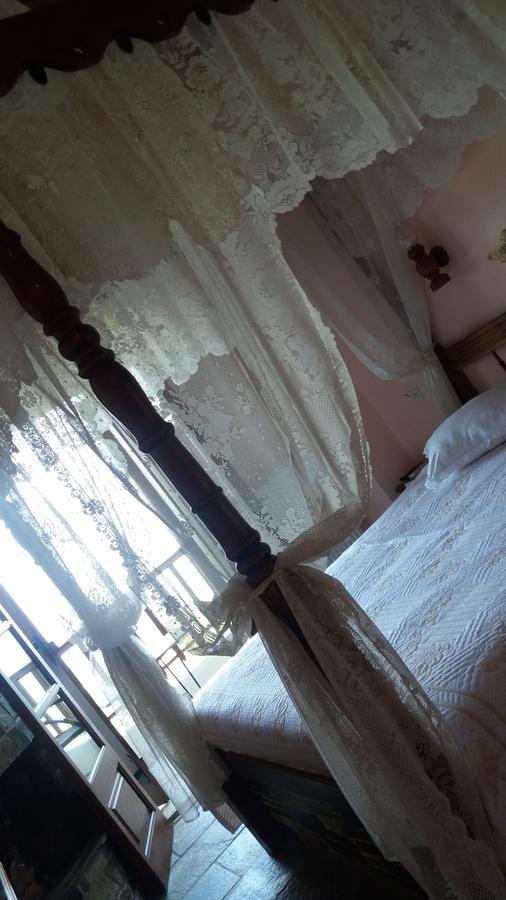 Hotel Diogenis