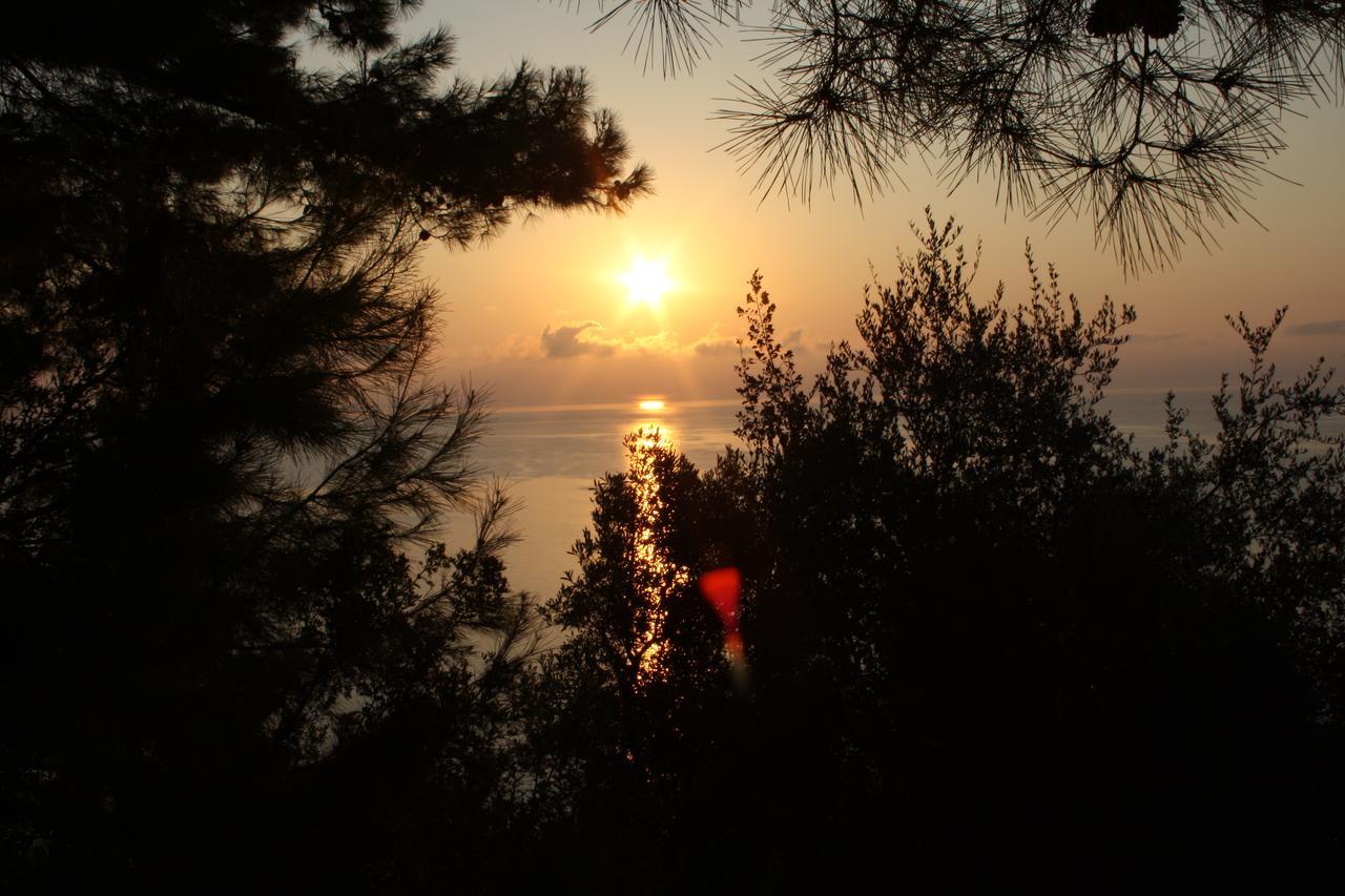 Kouros Hill *