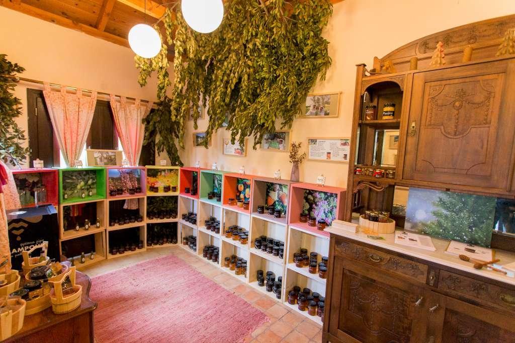 Hotel Melampous