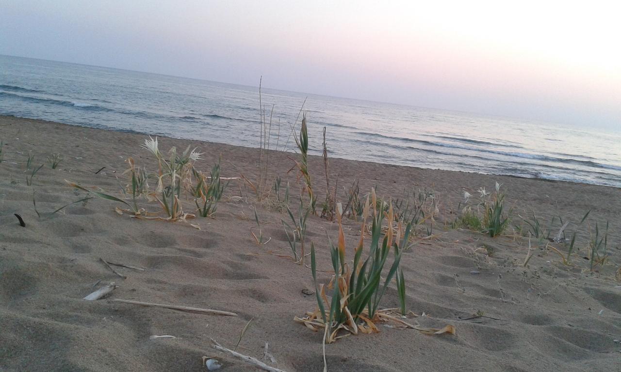 Ionion Star 2* Tholon