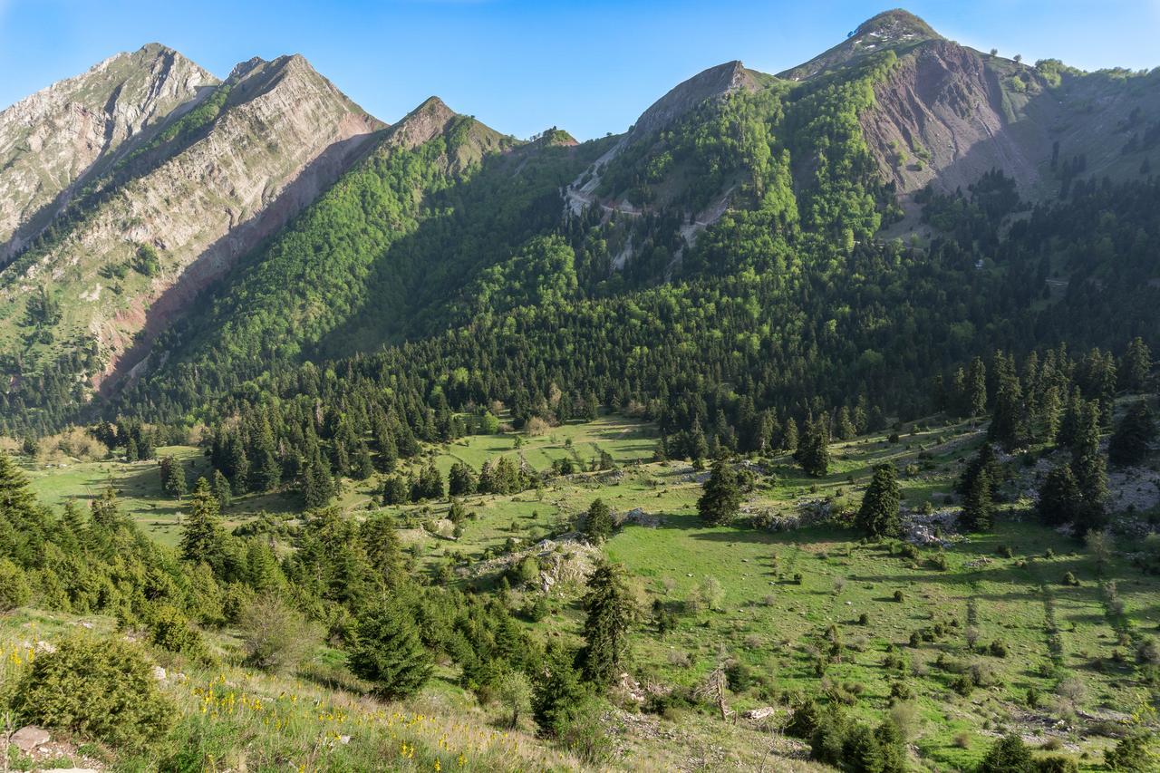 Zampakas Panorama Stournareika