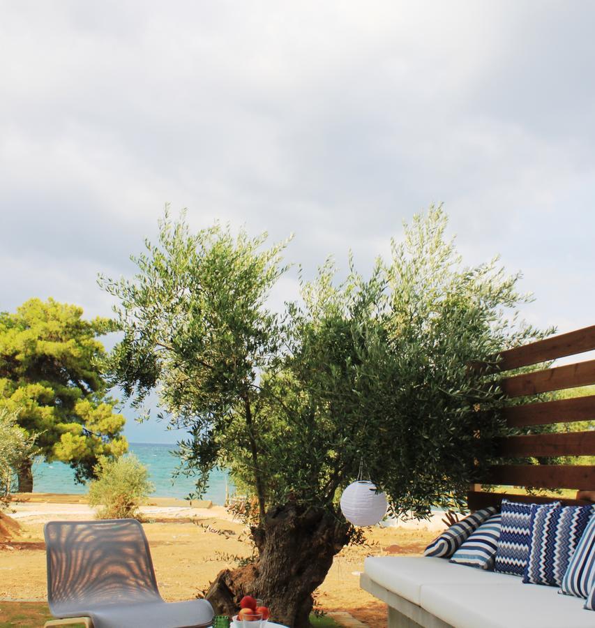 Meli Seaside Villa *