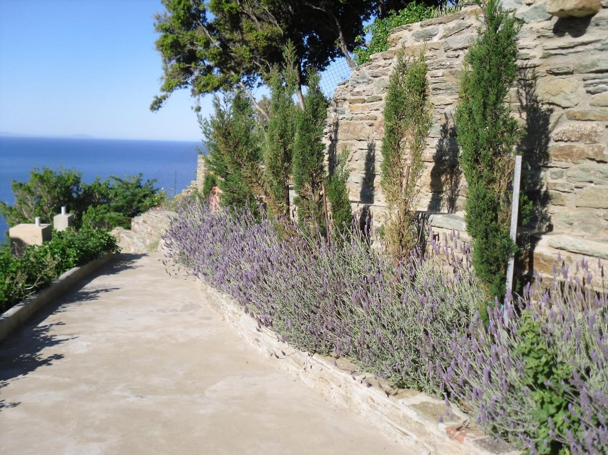 Aegean Castle Andros - Adults Only Agia Eleousa