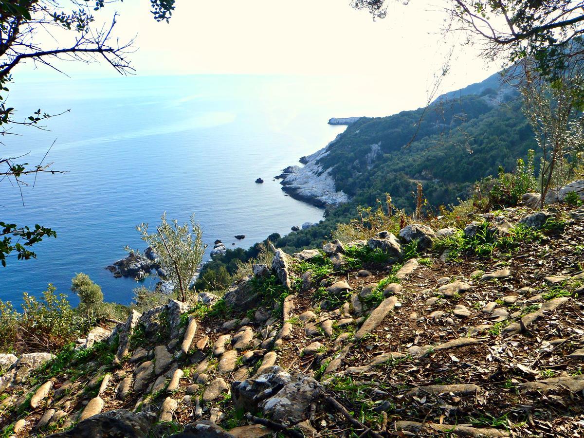 Hotel Diogenis 2*