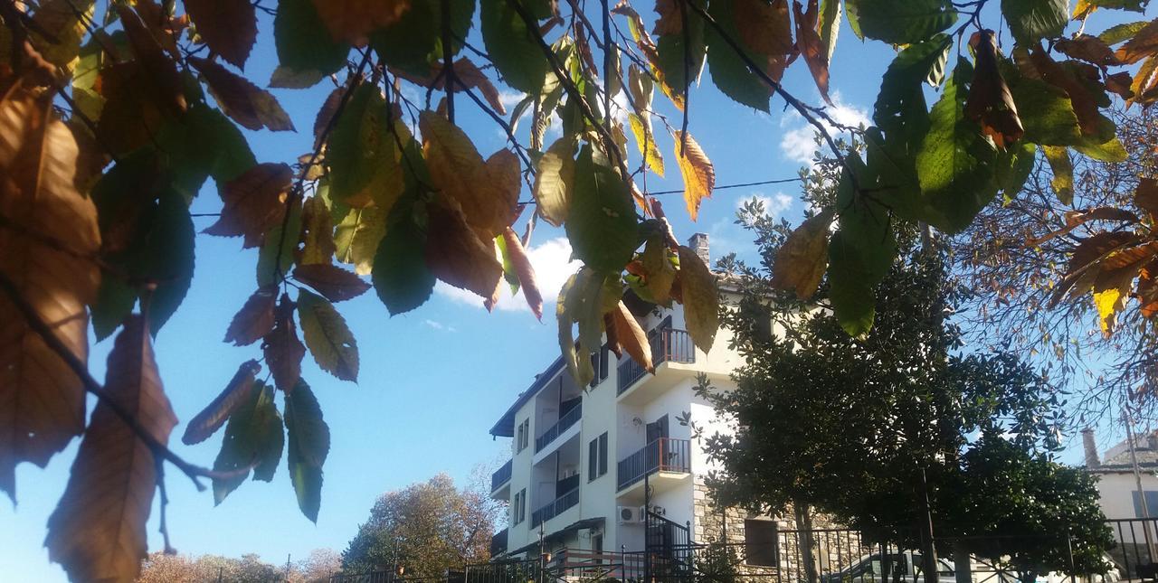 Hotel Diogenis