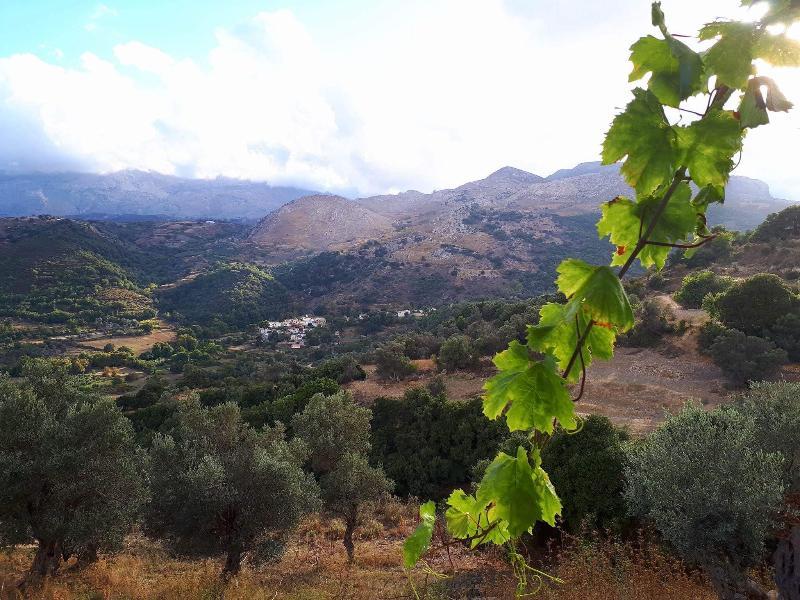 Hotel Aravanes Mountain & Eco Cuisine 5*