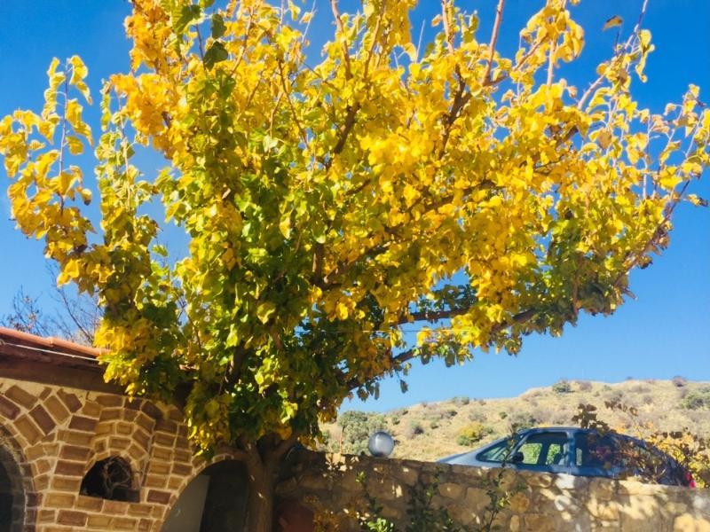 Aravanes Mountain & Eco Cuisine Hotel 5*