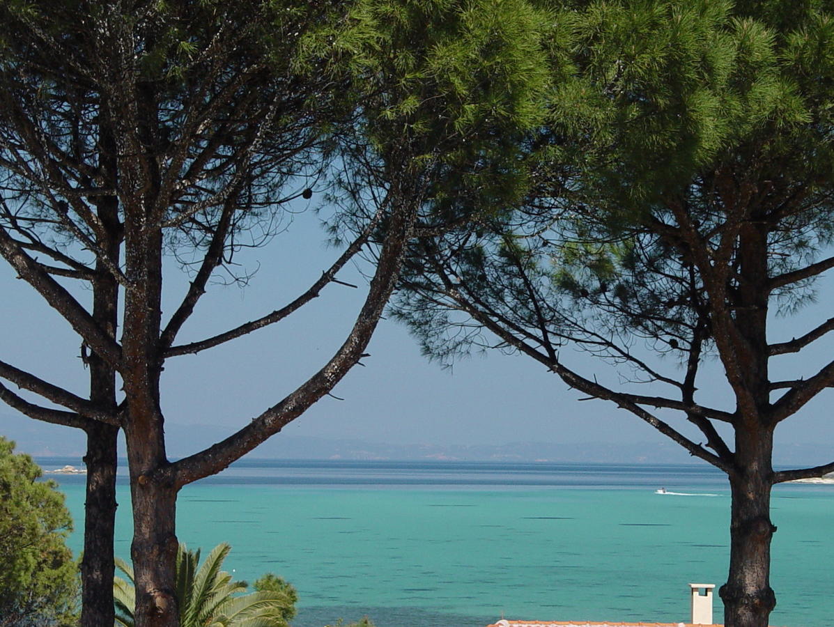 Hotel Elena 2*