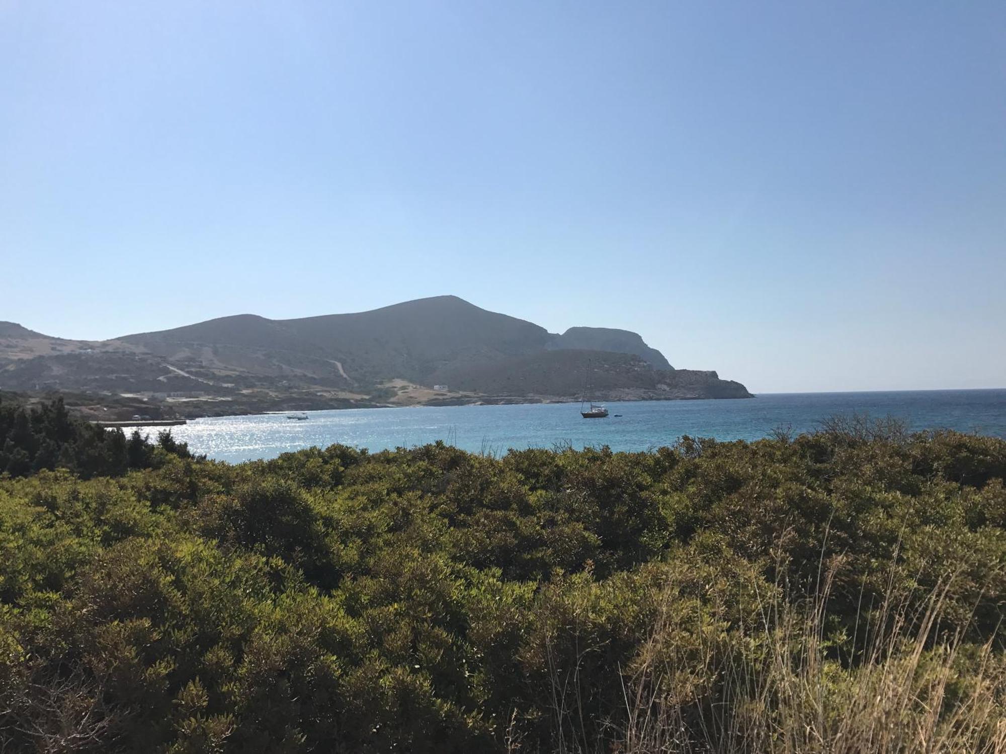 Island White * Agios Georgios (Antiparos)