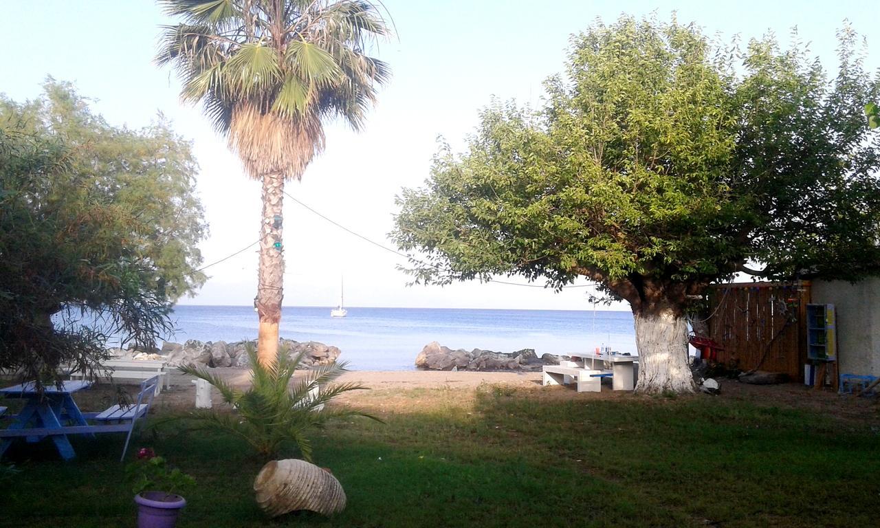 Sarantakis * Agios Andreas (Messenia)