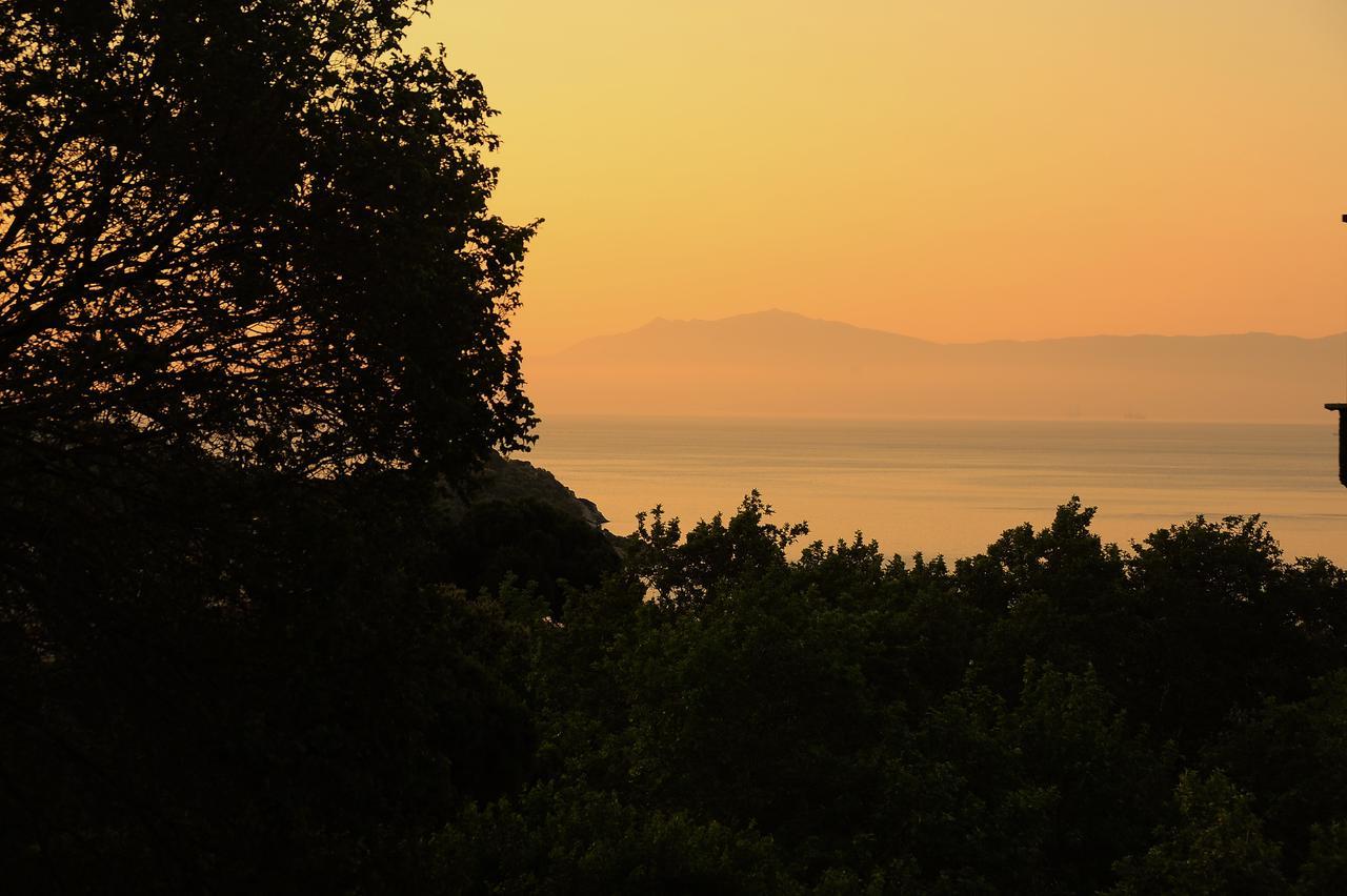 Sea Breeze * Palaiontsiflikion