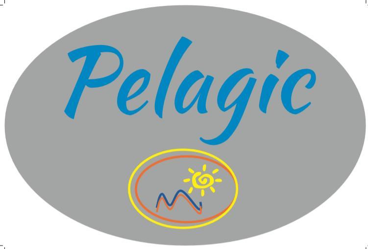 Pelagic Complex Near The Sea.