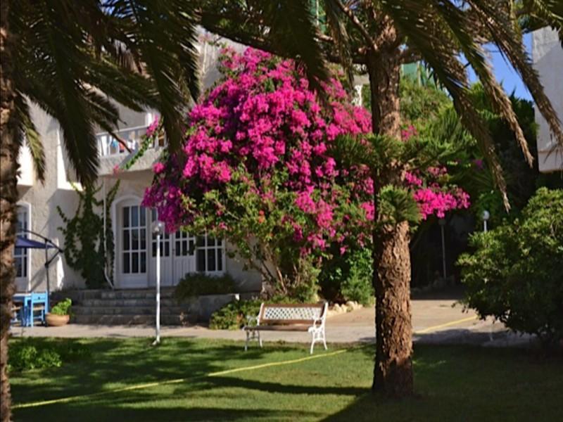 Hotel Palm Beach Sudkreta