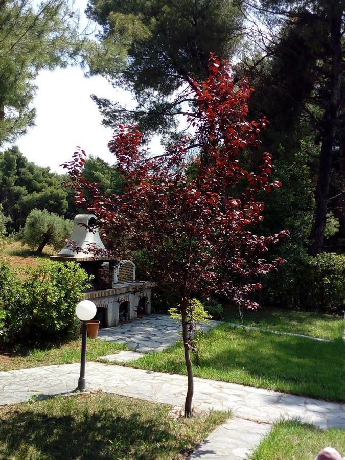 Sithonia Alekos Luxury Experience Apartment