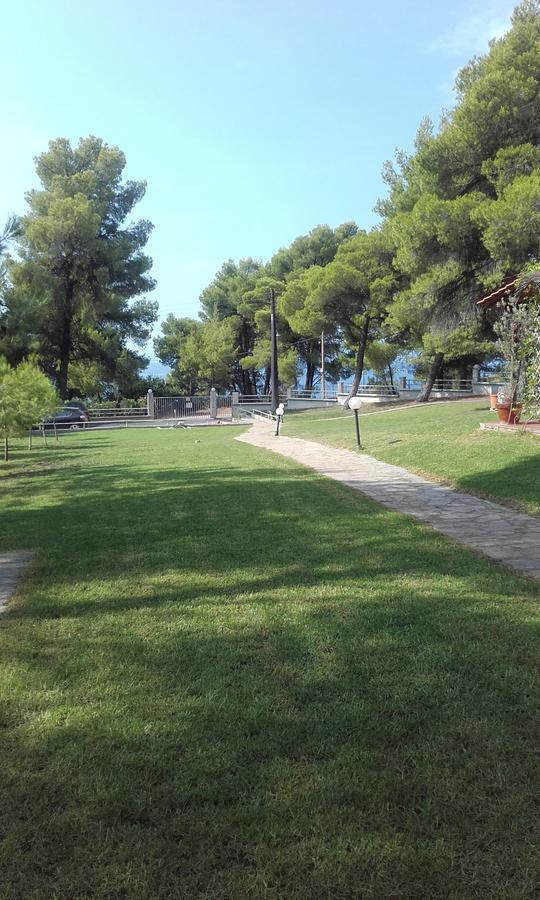 Apartment Sithonia Alekos Luxury Experience