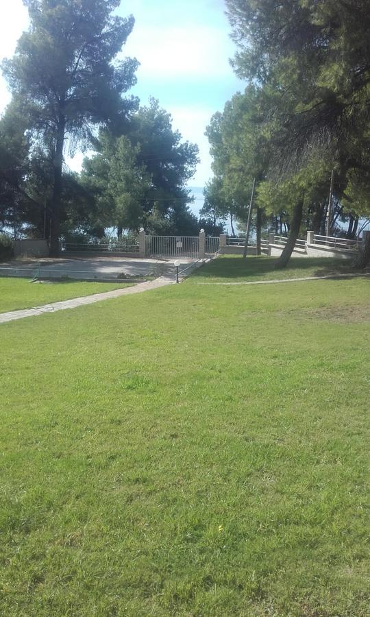 Sithonia Alekos Luxury Experience
