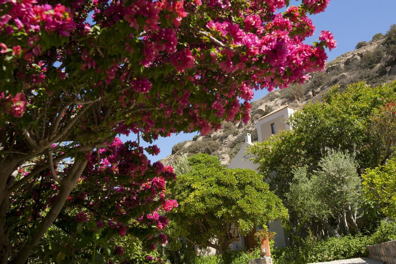 Luxury Villas