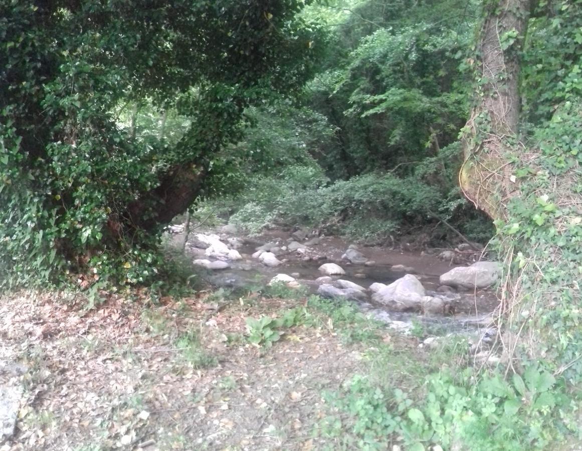 Eleni * Agios Ioannis (Thessaly)