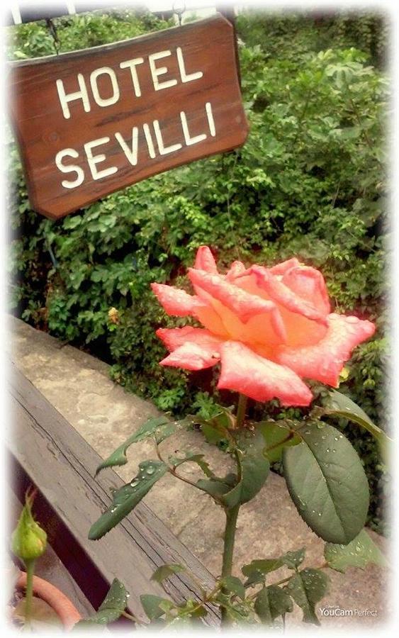 Sevilli 2* Agios Ioannis (Thessaly)