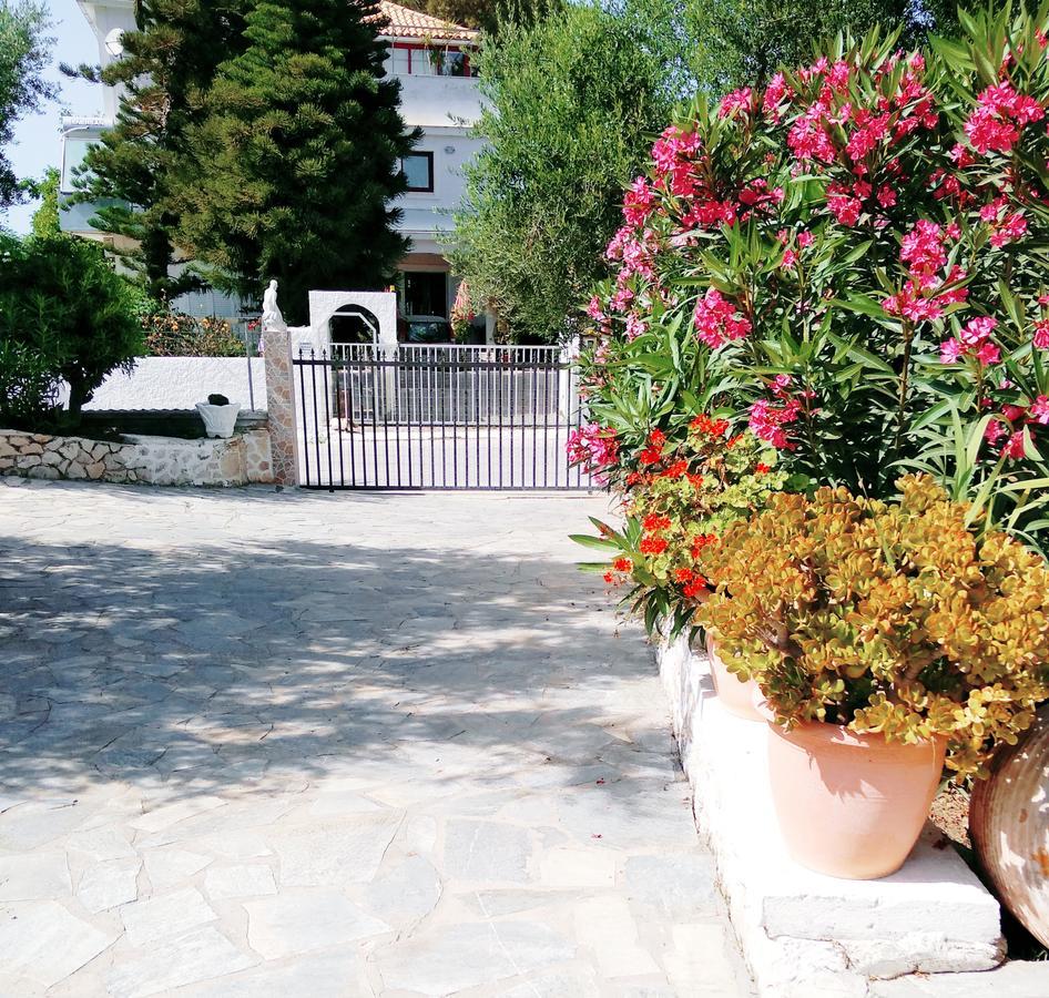 Apartment Irini Studios Alykes (Zakynthos)