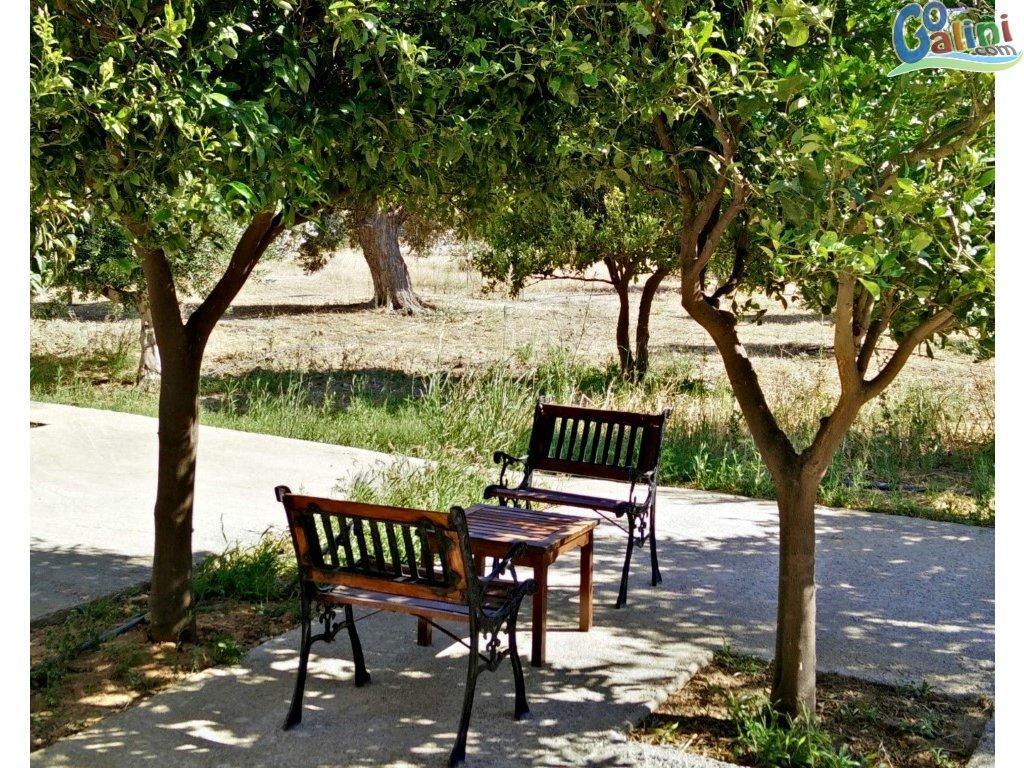 Liofyto Apartment Agia Galini (Crete)