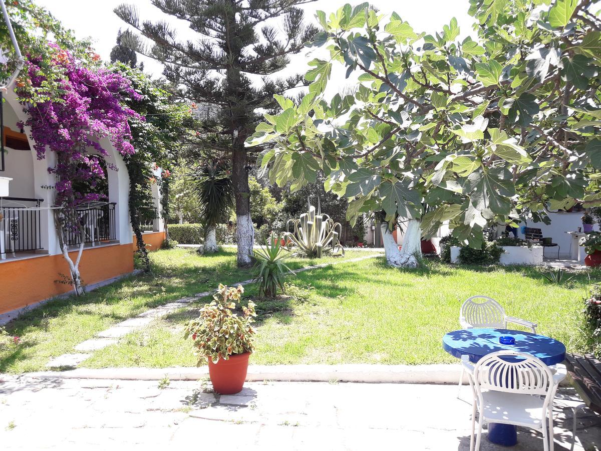 Dimitris * Punta