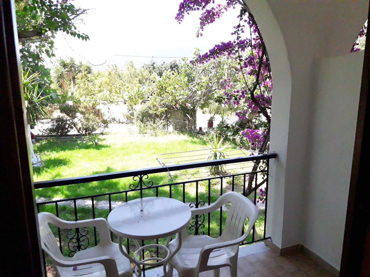 Apartment Dimitris Punta