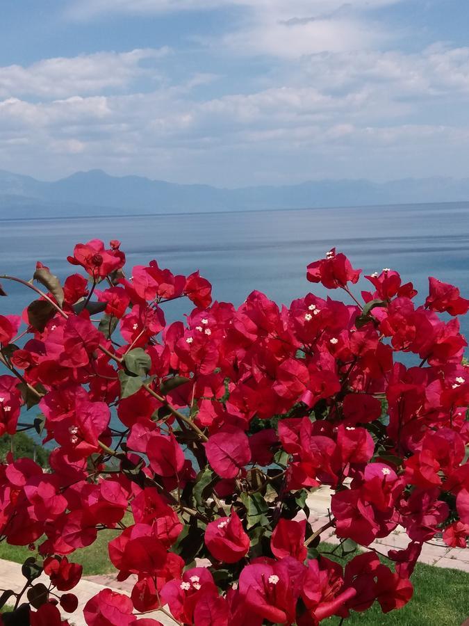 Holiday home Panorama *