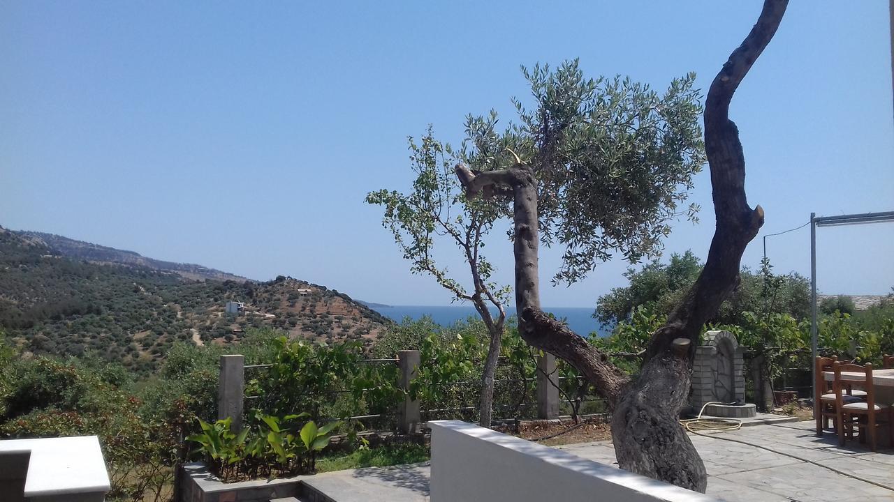 Giola By View