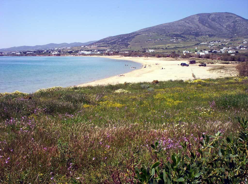 Studiocalypso * Lefkes (Paros)
