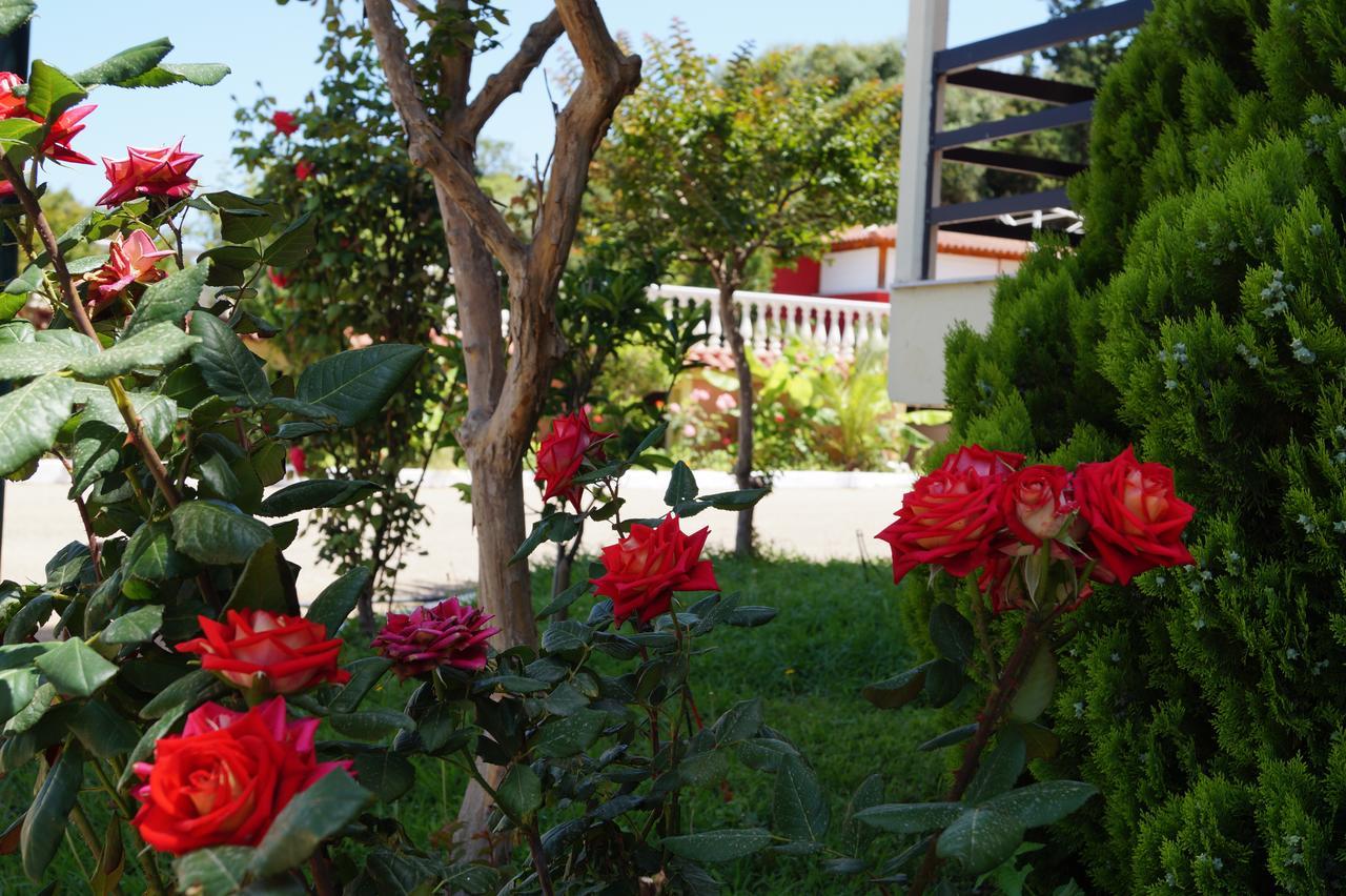 Brati - Arcoudi Hotel Arkoudi