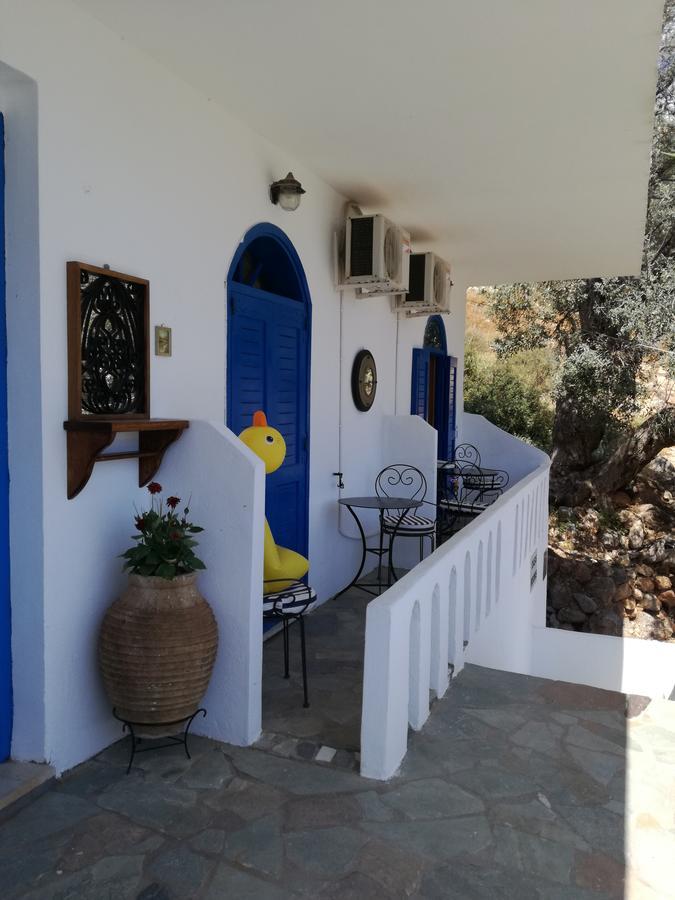 Oasis Hotel