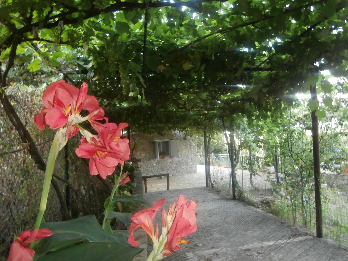 Linda House Corfu * Gastouri (Corfu)