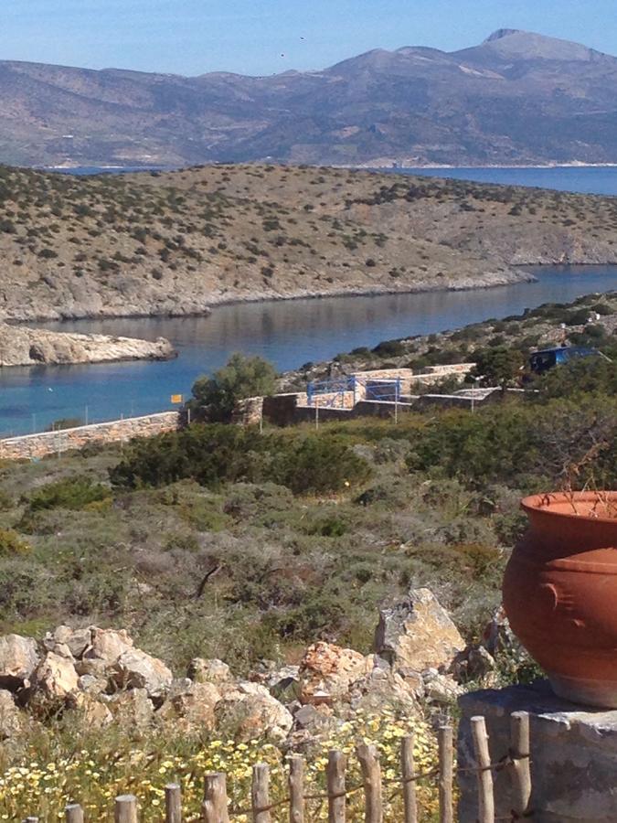 Alexandra Guest house 3*
