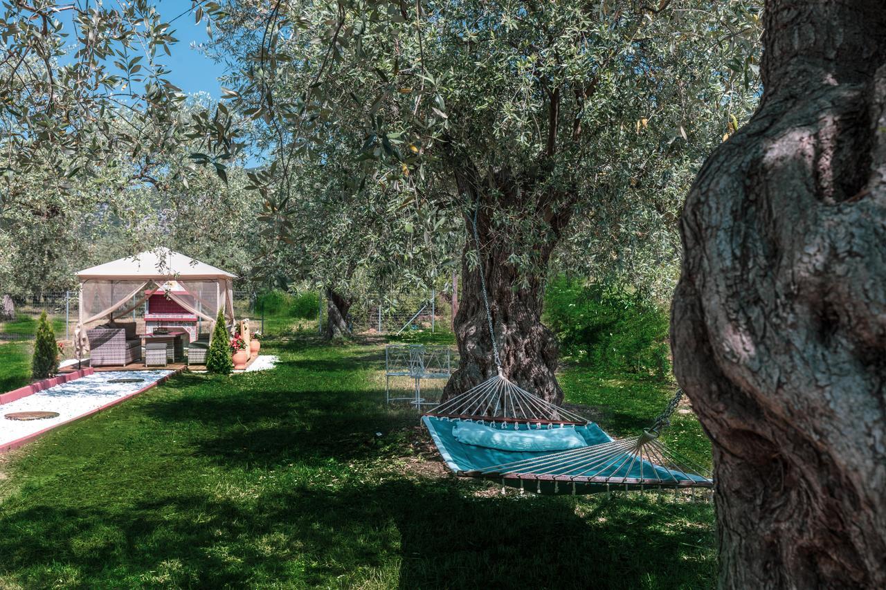 Fokas Luxury Villa *