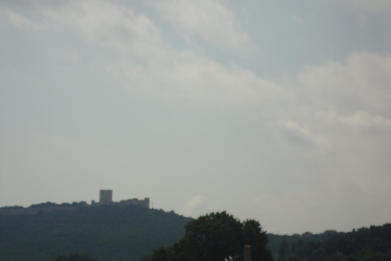 Pantazis 2*