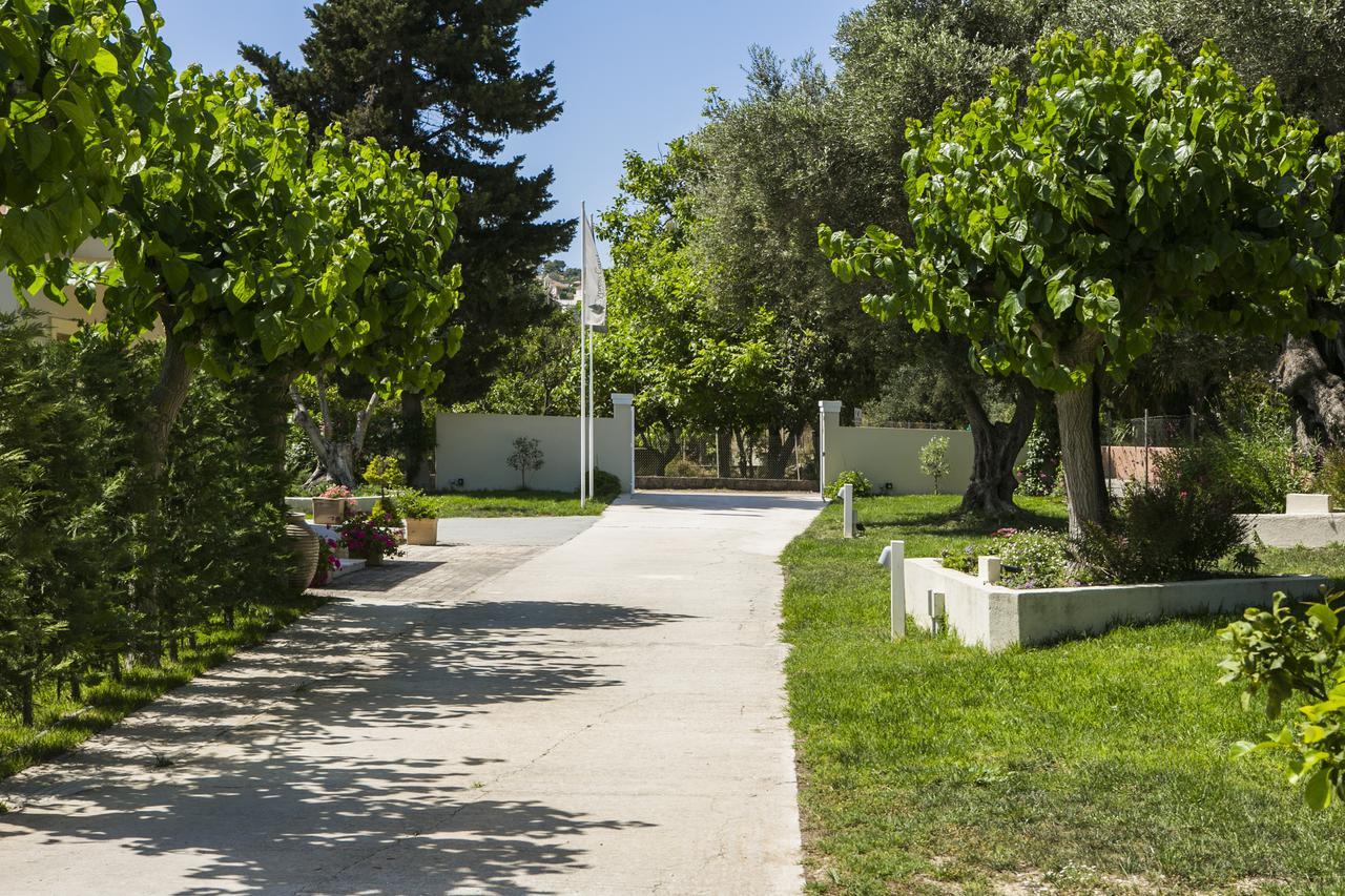 Cypress Garden *