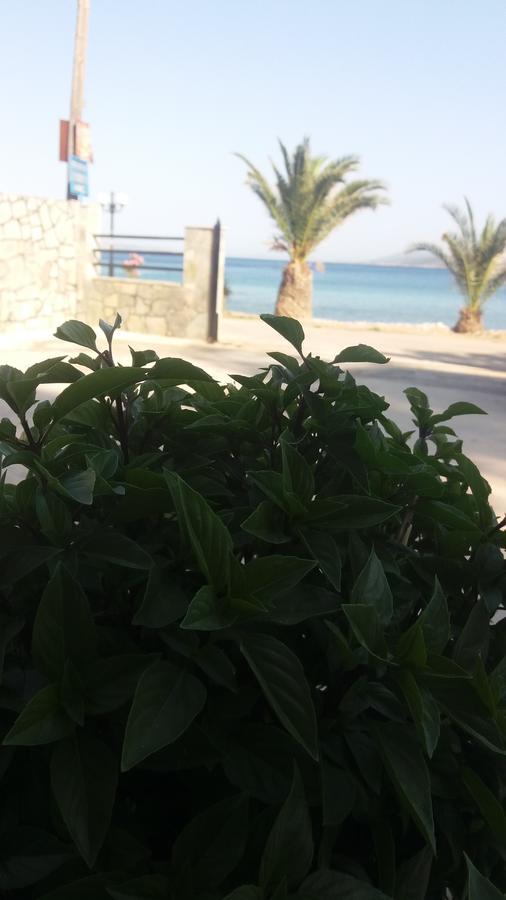 Apartment Alexanders Drepano (Argolis)
