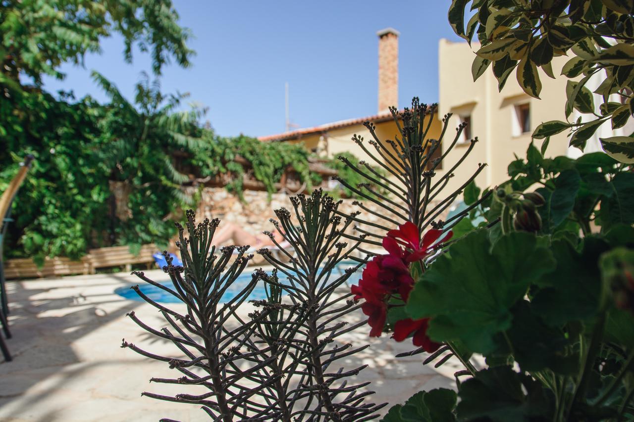 Ariadni Stone House With Private Pool Villa *
