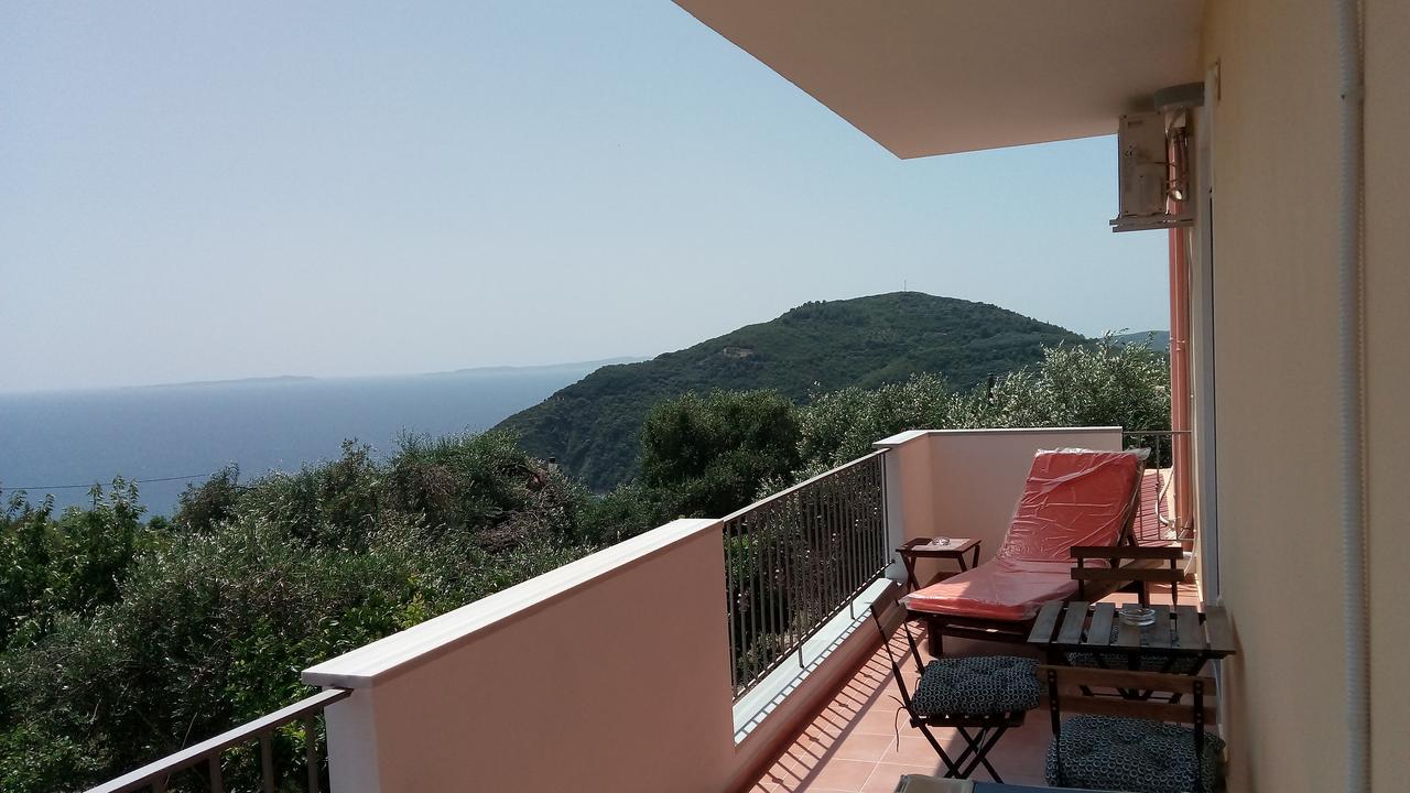 Apartment Olive Tree
