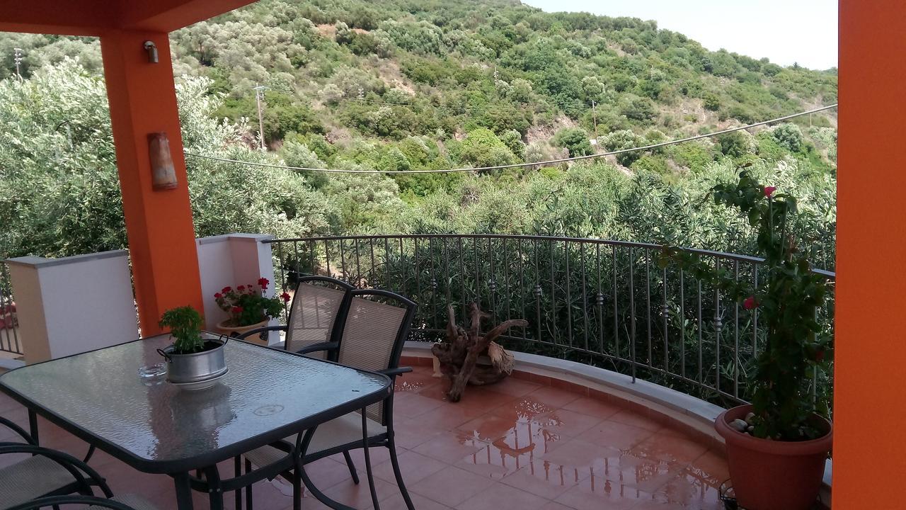 Olive Tree