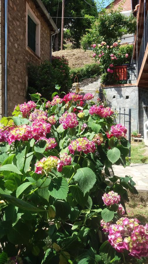 Mprizis Guest house *