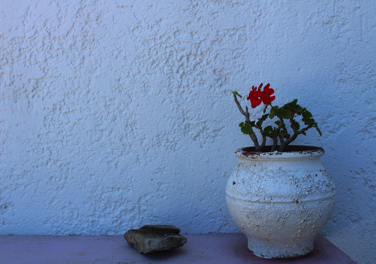 Holiday home Adonis