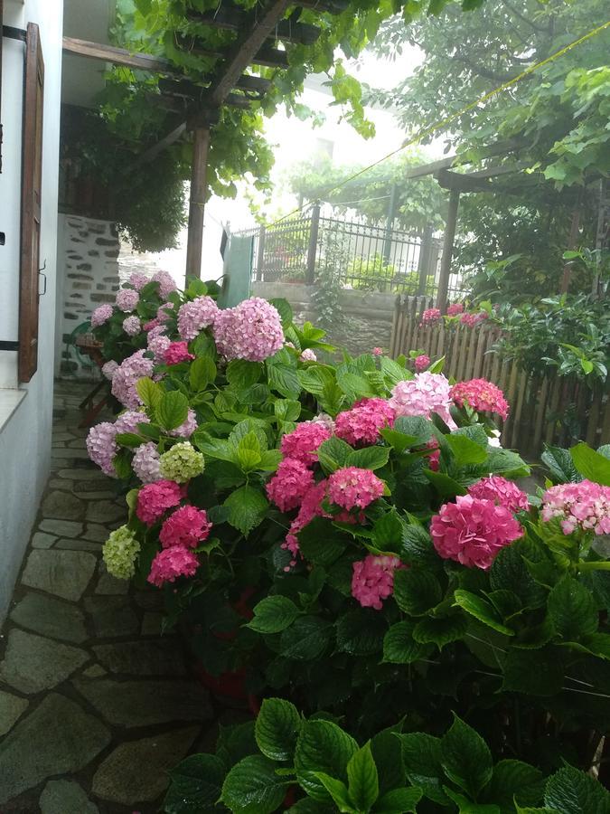 Village House Agios Lavrentios