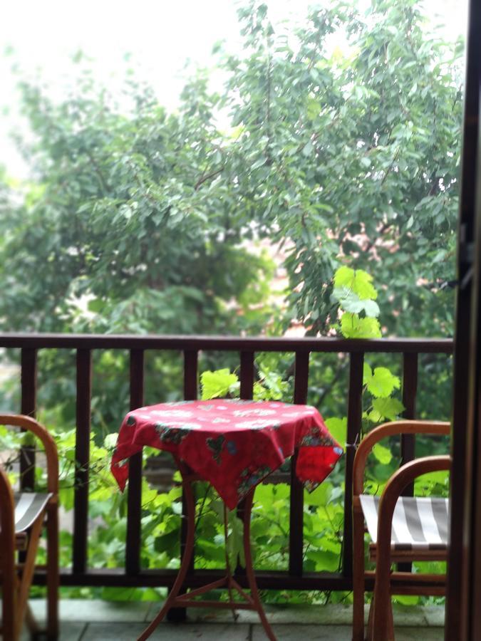Guest house Village House