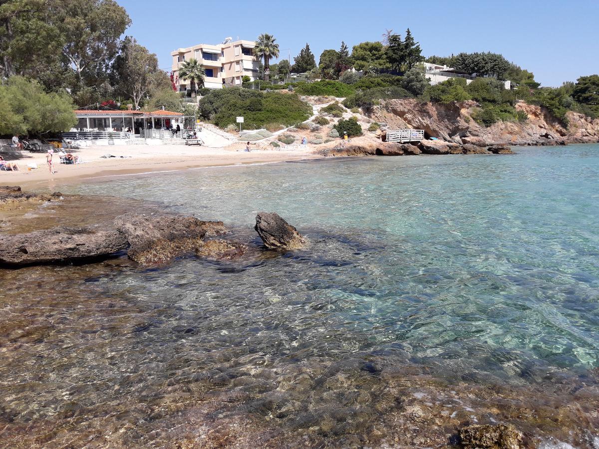 Apartment Luxurious House Near The Sea *