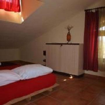 Hostel The White Rabbit *