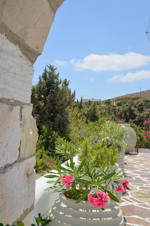 Dioni Lux Guest house Pachaina